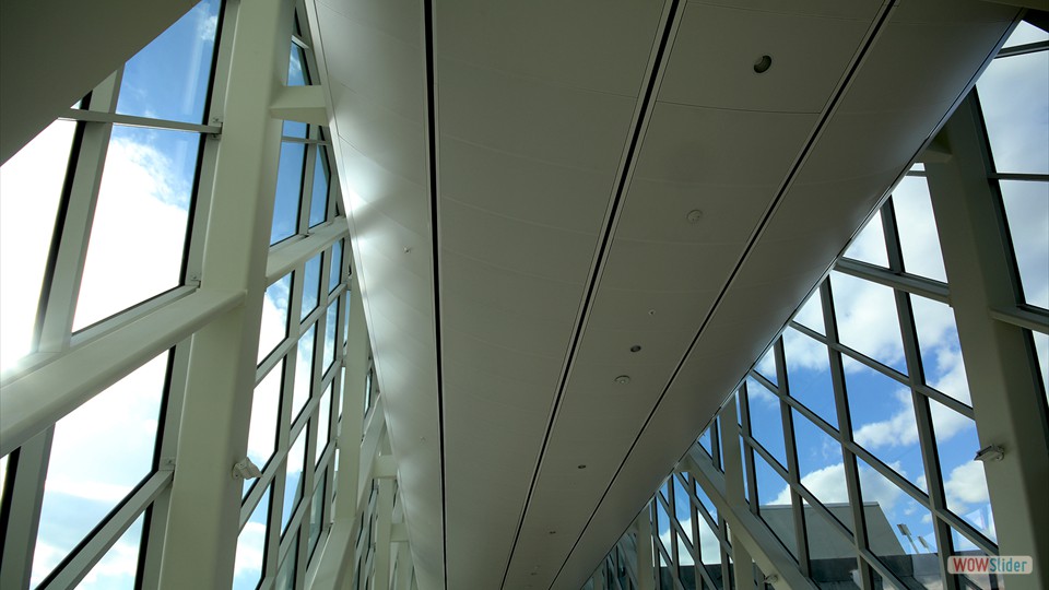 OIA03